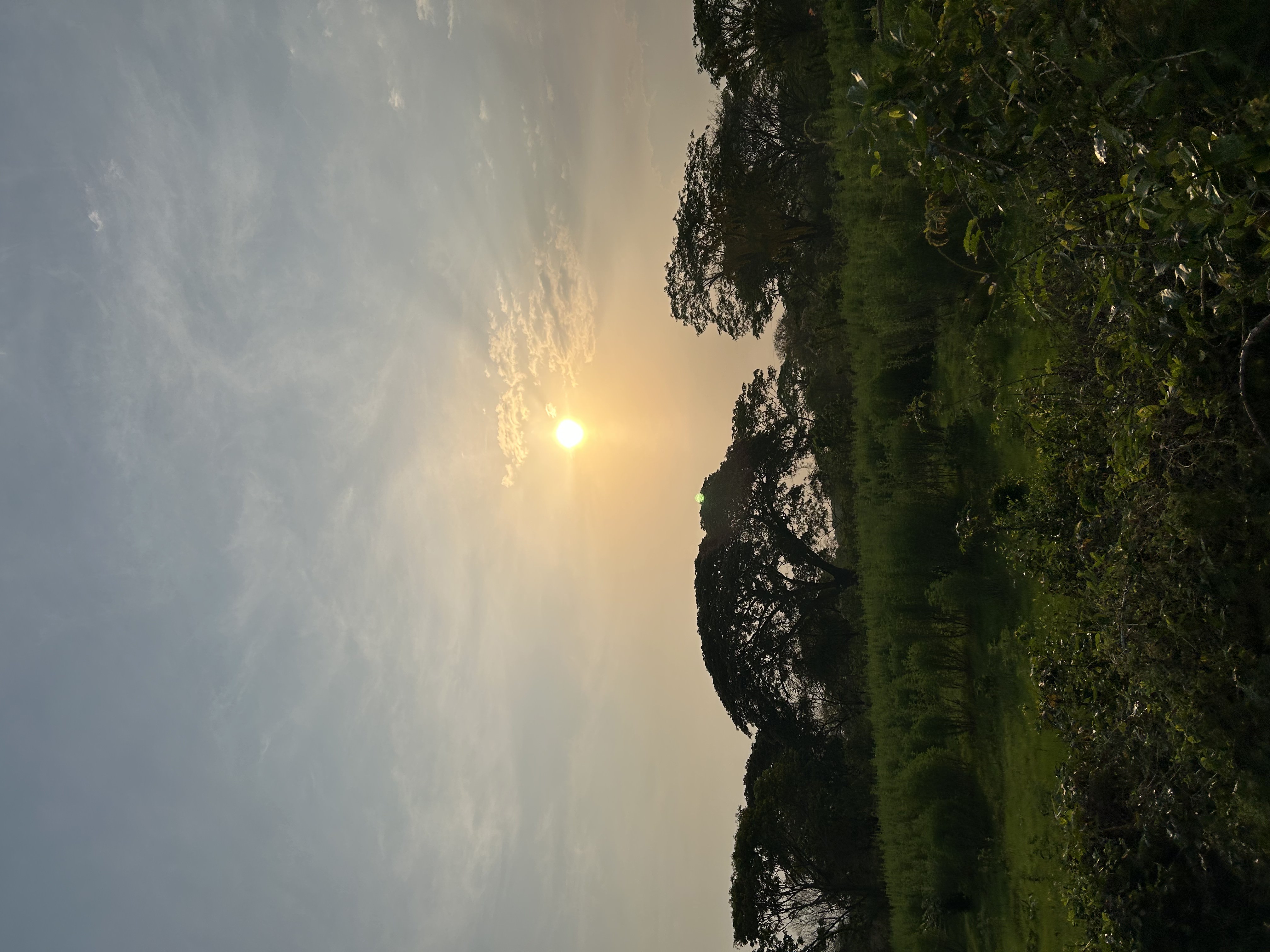 Paisaje Garabato