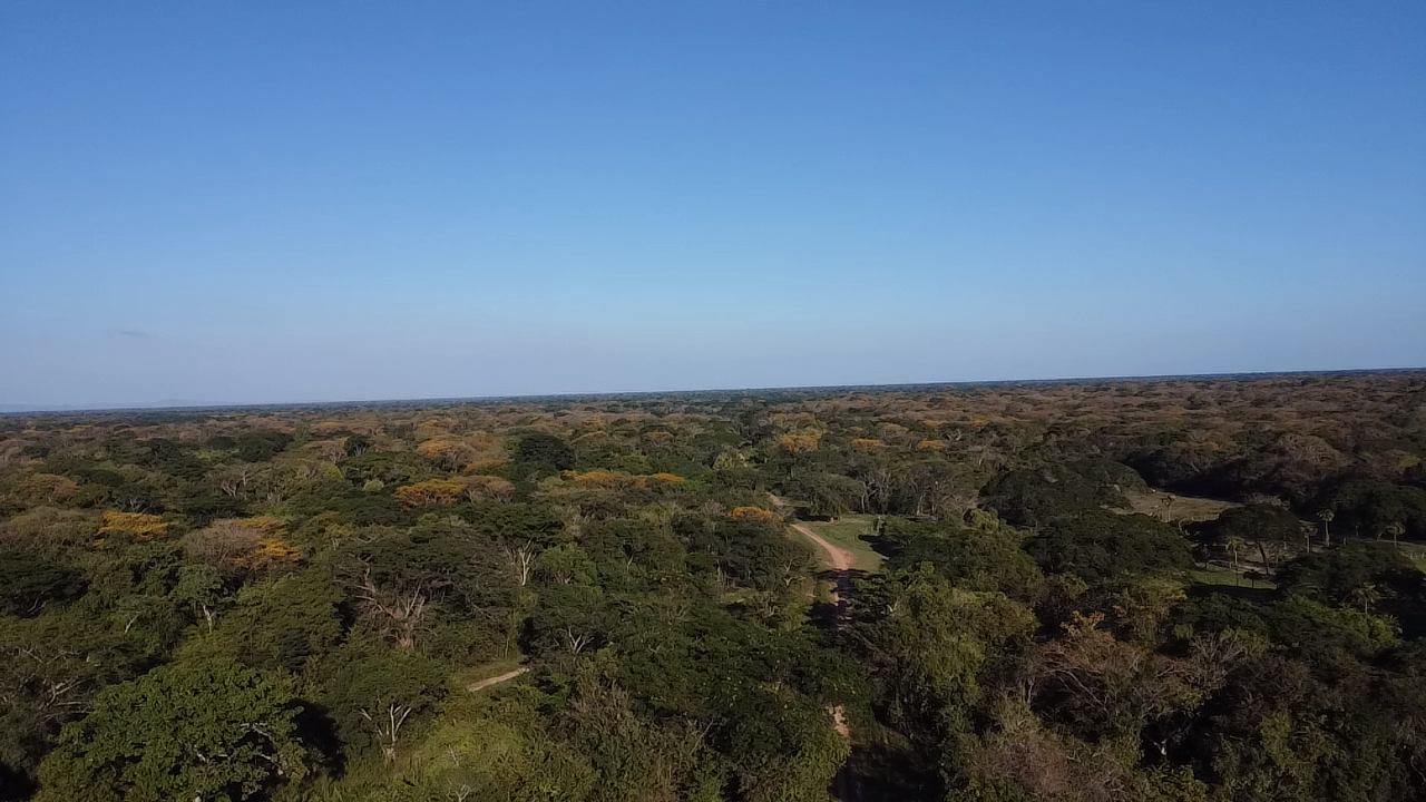 Paisaje